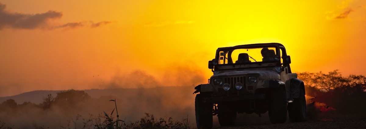 Jeep Wrangler driving through grass during sunset - rocket chip Jeep performance chips