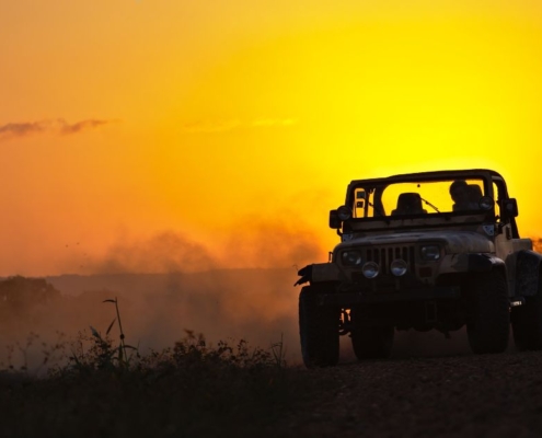 Jeep Wrangler driving through grass during sunset - rocket chip Jeep performance chips