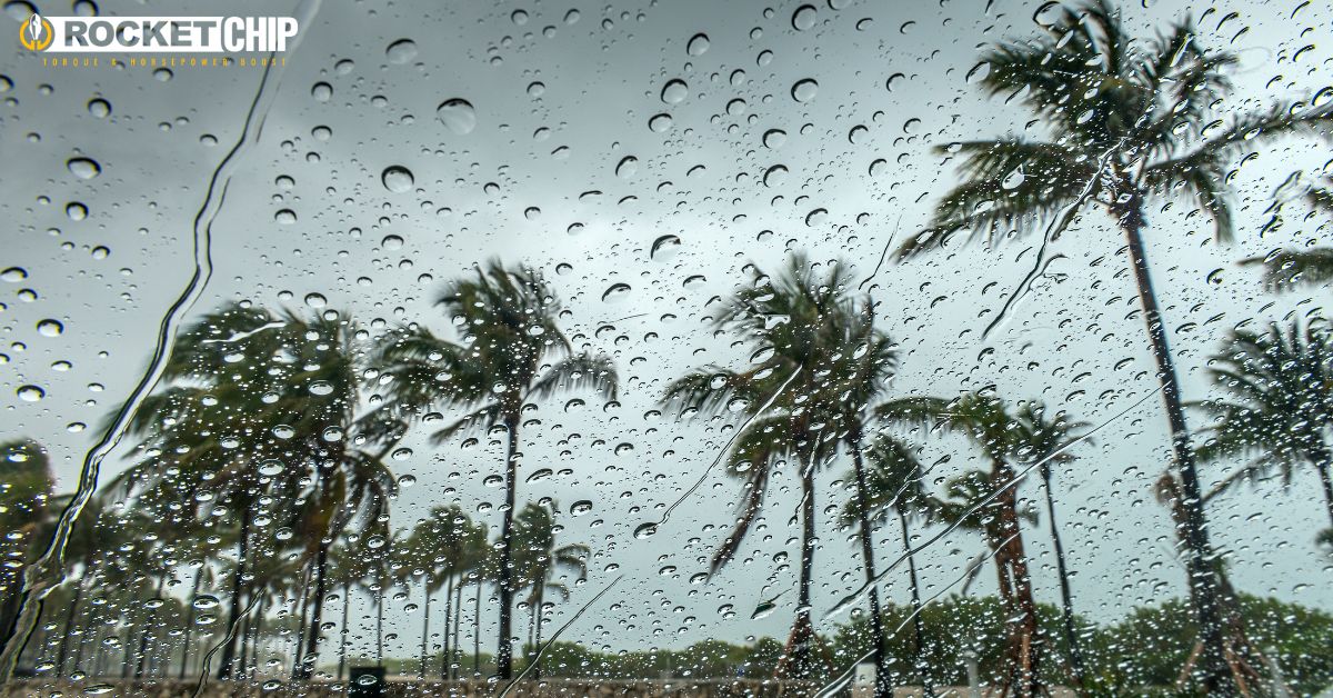 cloudy view of palm trees during a rain storm - Rocket Chip improving mpg
