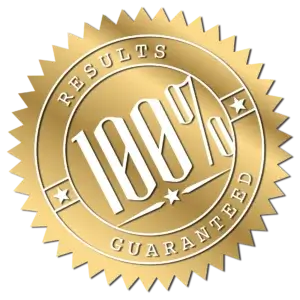 100% guarantee badge - Rocket Chip
